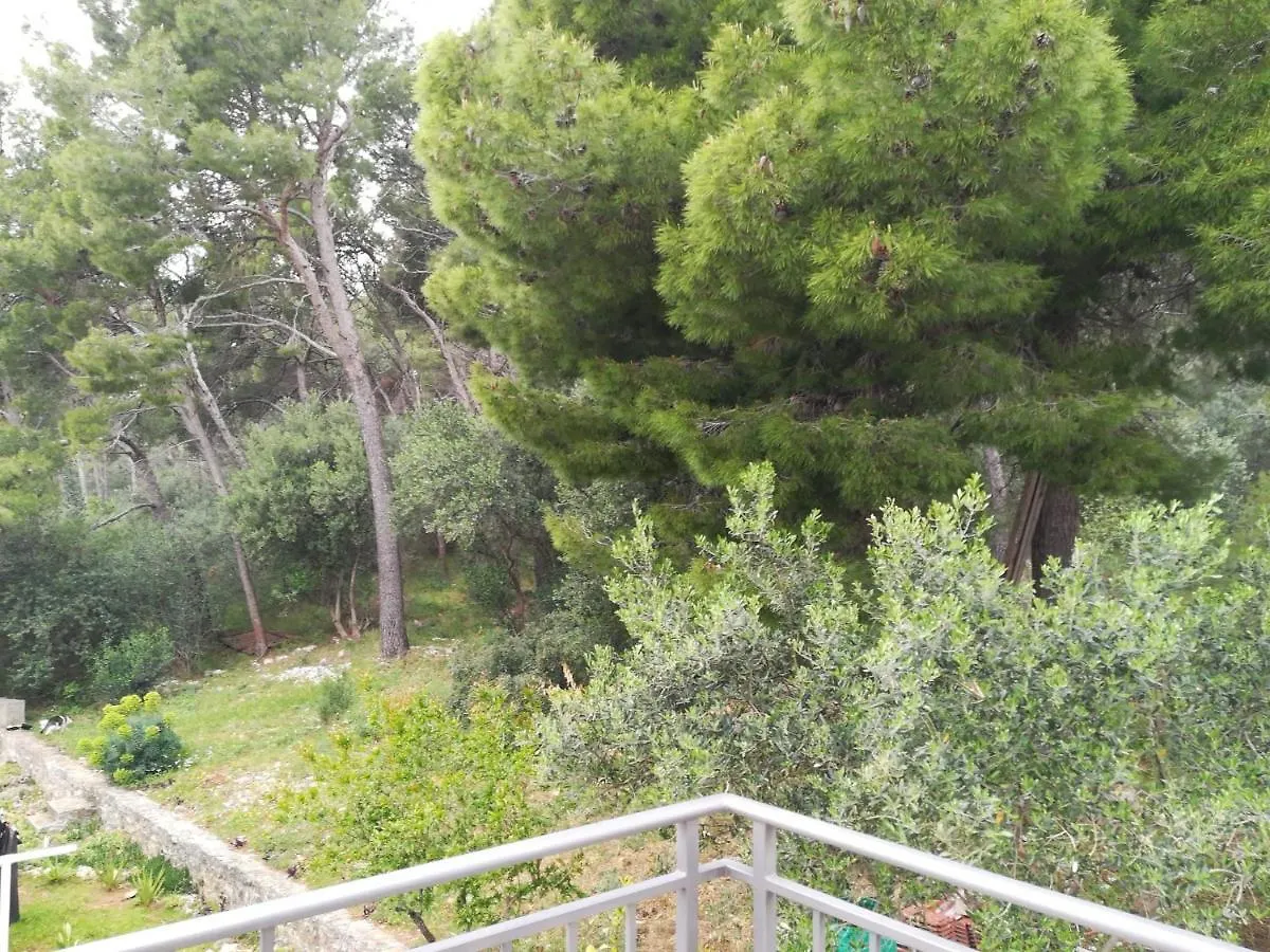 Domenico - 50 M From The Sea Apartment Seget Donji